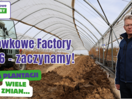 Rusza Borówkowe Factory 2026! W tym roku wiele nowości Borówkowe Factory 2026