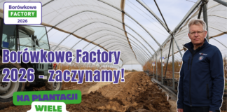 Rusza Borówkowe Factory 2026! W tym roku wiele nowości Borówkowe Factory 2026
