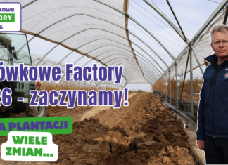 Rusza Borówkowe Factory 2026! W tym roku wiele nowości Borówkowe Factory 2026