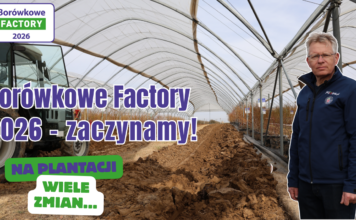 Rusza Borówkowe Factory 2026! W tym roku wiele nowości Borówkowe Factory 2026