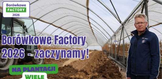 Rusza Borówkowe Factory 2026! W tym roku wiele nowości Borówkowe Factory 2026