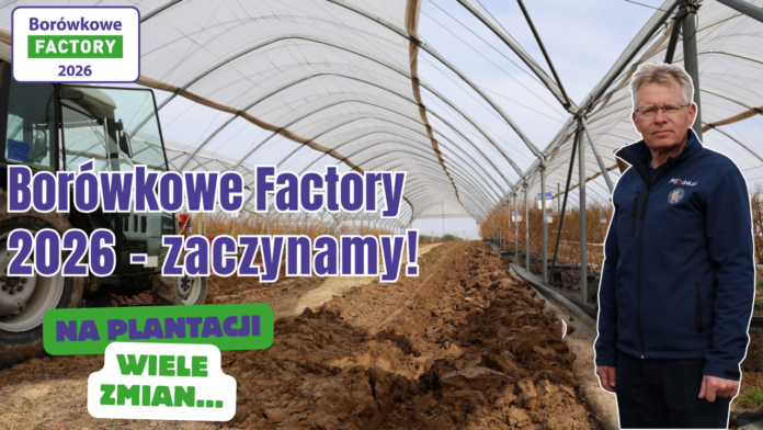 Borówkowe Factory 2026