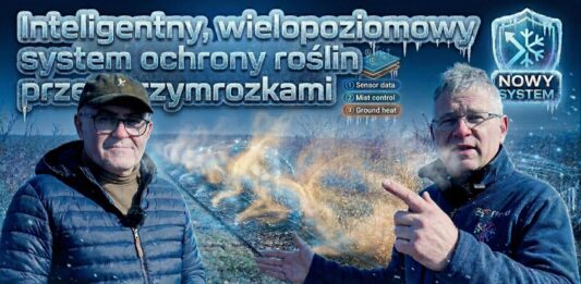 Wiosna 2026 pod znakiem przymrozków. Nowe podejście do ochrony plantacji borówki