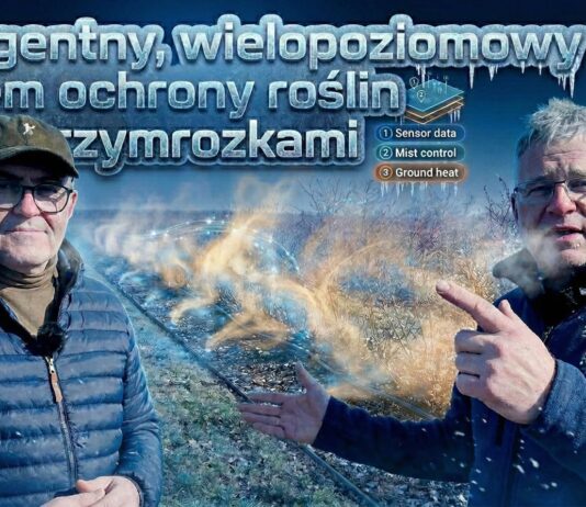 Wiosna 2026 pod znakiem przymrozków. Nowe podejście do ochrony plantacji borówki