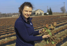 Pierwsza lustracja plantacji w projekcie „Truskawkowe Inspiracje”. Czyli jak dobrze rozpocząć sezon truskawkowy 2026?