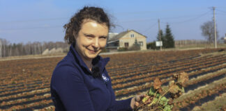 Pierwsza lustracja plantacji w projekcie „Truskawkowe Inspiracje”. Czyli jak dobrze rozpocząć sezon truskawkowy 2026?