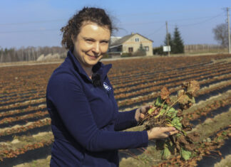 Pierwsza lustracja plantacji w projekcie „Truskawkowe Inspiracje”. Czyli jak dobrze rozpocząć sezon truskawkowy 2026?