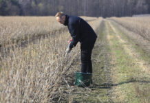 Precyzyjne nawożenie zaczyna się od gleby. Zasady pobierania prób glebowych