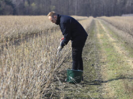 Precyzyjne nawożenie zaczyna się od gleby. Zasady pobierania prób glebowych