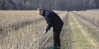 Precyzyjne nawożenie zaczyna się od gleby. Zasady pobierania prób glebowych