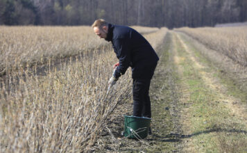Precyzyjne nawożenie zaczyna się od gleby. Zasady pobierania prób glebowych
