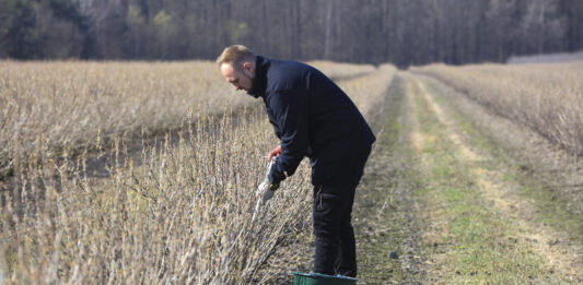 Precyzyjne nawożenie zaczyna się od gleby. Zasady pobierania prób glebowych