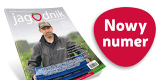 Jagodnik 3/2026 już w sprzedaży