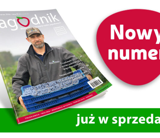 Jagodnik 3/2026 już w sprzedaży