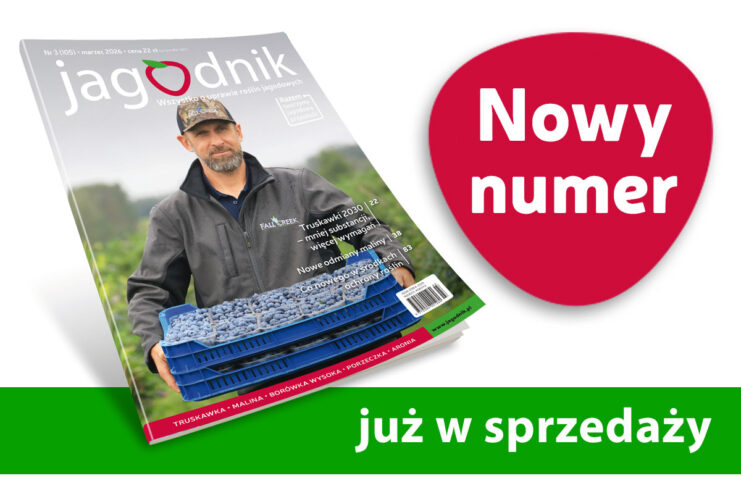 Jagodnik 3/2026 już w sprzedaży