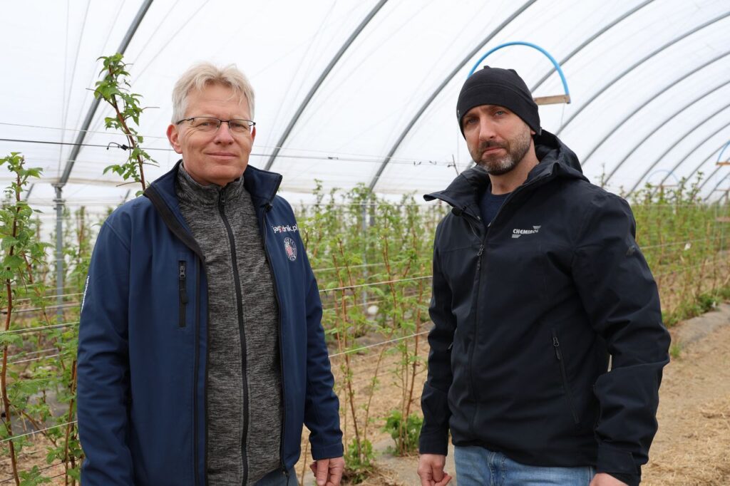 malinowe factory, malinowe factory 2026, mikrobiomu malin wsparcie