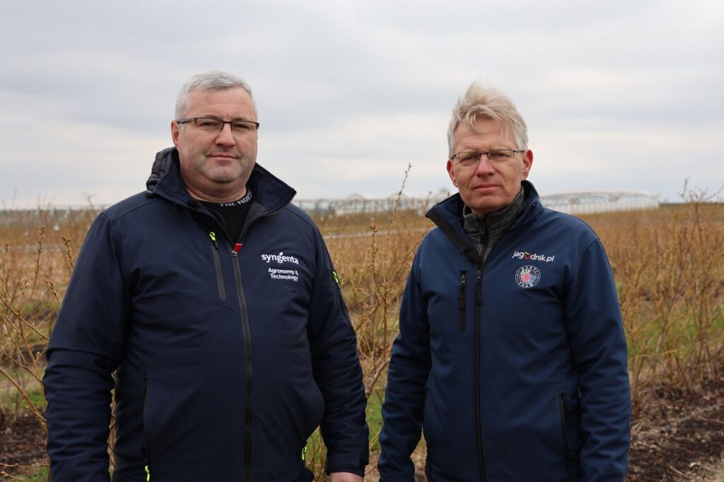 borówkowe factory, paweł krawiec, michał noworól