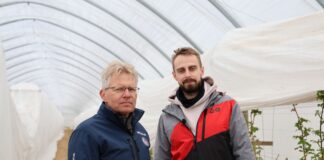 Wykorzystanie węgla brunatnego na plantacjach malin