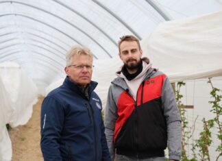 Wykorzystanie węgla brunatnego na plantacjach malin