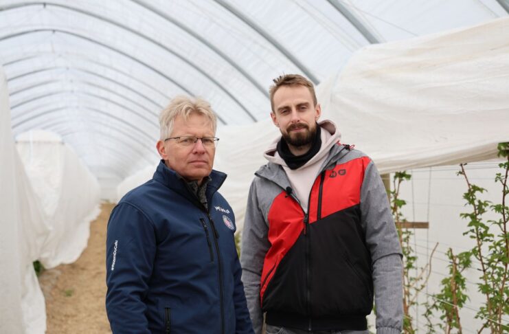 Wykorzystanie węgla brunatnego na plantacjach malin