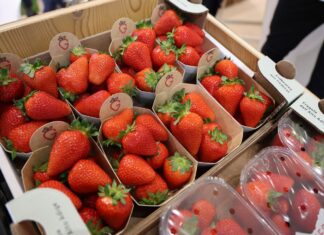 Branża jagodowa na Macfrut 2026