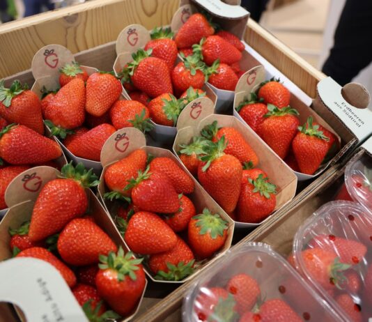 Branża jagodowa na Macfrut 2026