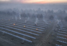 Dwa żywioły w ochronie przed przymrozkami na plantacjach borówki. Ogień i woda.