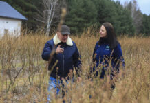 Ochrona borówki przed przymrozkami. Mirosław Garliński zdradza tajemnice corocznego plonowania