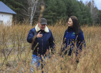 Ochrona borówki przed przymrozkami. Mirosław Garliński zdradza tajemnice corocznego plonowania