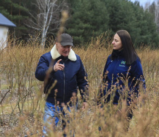 Ochrona borówki przed przymrozkami. Mirosław Garliński zdradza tajemnice corocznego plonowania