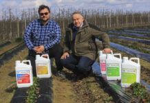 Czy 50 ton truskawek z hektara jest realne w sezonie 2026? Kto rzucił wyzwanie?