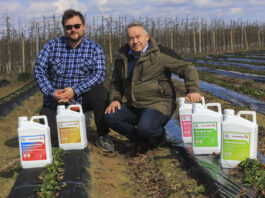 Czy 50 ton truskawek z hektara jest realne w sezonie 2026? Kto rzucił wyzwanie?