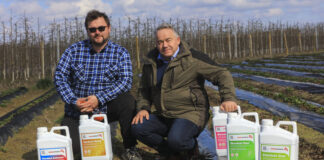 Czy 50 ton truskawek z hektara jest realne w sezonie 2026? Kto rzucił wyzwanie?