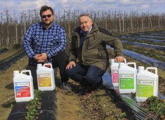 Czy 50 ton truskawek z hektara jest realne w sezonie 2026? Kto rzucił wyzwanie?