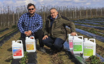 Czy 50 ton truskawek z hektara jest realne w sezonie 2026? Kto rzucił wyzwanie?