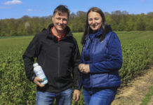 Jak skutecznie zwalczać chwasty w porzeczkach? Praktyczne stosowanie herbicydu Spotlight® Plus (Wideo)