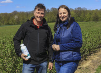 Jak skutecznie zwalczać chwasty w porzeczkach? Praktyczne stosowanie herbicydu Spotlight® Plus (Wideo)