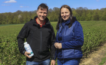 Jak skutecznie zwalczać chwasty w porzeczkach? Praktyczne stosowanie herbicydu Spotlight® Plus (Wideo)