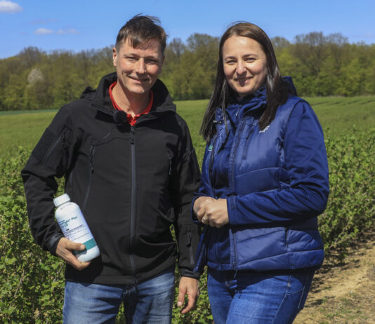 Jak skutecznie zwalczać chwasty w porzeczkach? Praktyczne stosowanie herbicydu Spotlight® Plus (Wideo)