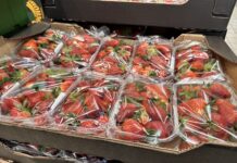 Kiedy w sprzedaży będzie więcej polskich truskawek? Hiszpańskie truskawki w sieci Biedronka