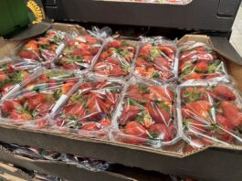 Kiedy w sprzedaży będzie więcej polskich truskawek? Hiszpańskie truskawki w sieci Biedronka