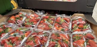 Kiedy w sprzedaży będzie więcej polskich truskawek? Hiszpańskie truskawki w sieci Biedronka