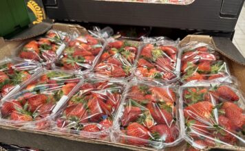 Kiedy w sprzedaży będzie więcej polskich truskawek? Hiszpańskie truskawki w sieci Biedronka