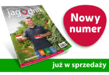 Jagodnik 4/2026 już w sprzedaży!