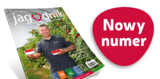 Jagodnik 4/2026 już w sprzedaży!