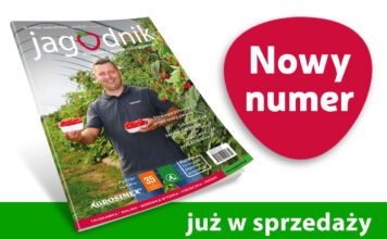 Jagodnik 4/2026 już w sprzedaży!