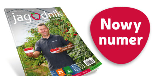 Jagodnik 4/2026 już w sprzedaży!