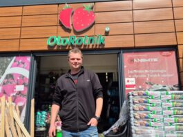 Czerwińsk nad Wisłą: sezon 2026 trudny dla plantatorów truskawek. Spada sprzedaż środków do produkcji