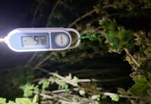 Mroźna noc, która zaważy na sezonie. Temperatura spadła do –9°C