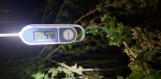 Mroźna noc, która zaważy na sezonie. Temperatura spadła do –9°C